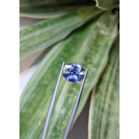 5.43 Ct. Bi Color Sapphire from Ceylon (Sri Lanka) Life Style