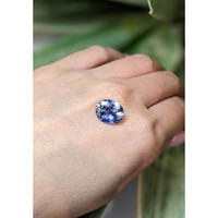 5.43 Ct. Bi Color Sapphire from Ceylon (Sri Lanka) Life Style