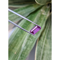3.22 Ct. Pink Sapphire from Madagascar Life Style
