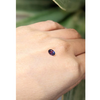 0.53 Ct. Sapphire from Tanzania Life Style