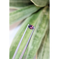 0.53 Ct. Sapphire from Tanzania Life Style