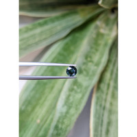 0.81 Ct. Bluish Green Sapphire from Ceylon (Sri Lanka) Life Style