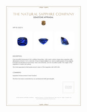 3.08 Ct. Blue Sapphire from Ceylon (Sri Lanka) Appraisal