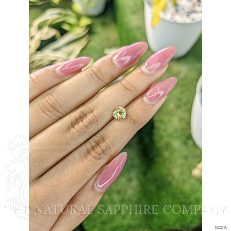 1.06 Ct. Yellow Sapphire from Ceylon (Sri Lanka)