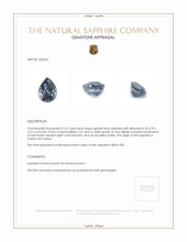 1.01 Ct. Sapphire from Ceylon (Sri Lanka) Appraisal