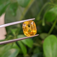 6.16 Ct. Yellow Sapphire from Ceylon (Sri Lanka) Life Style