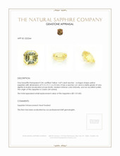 4.69 Ct. Yellow Sapphire from Ceylon (Sri Lanka) Appraisal