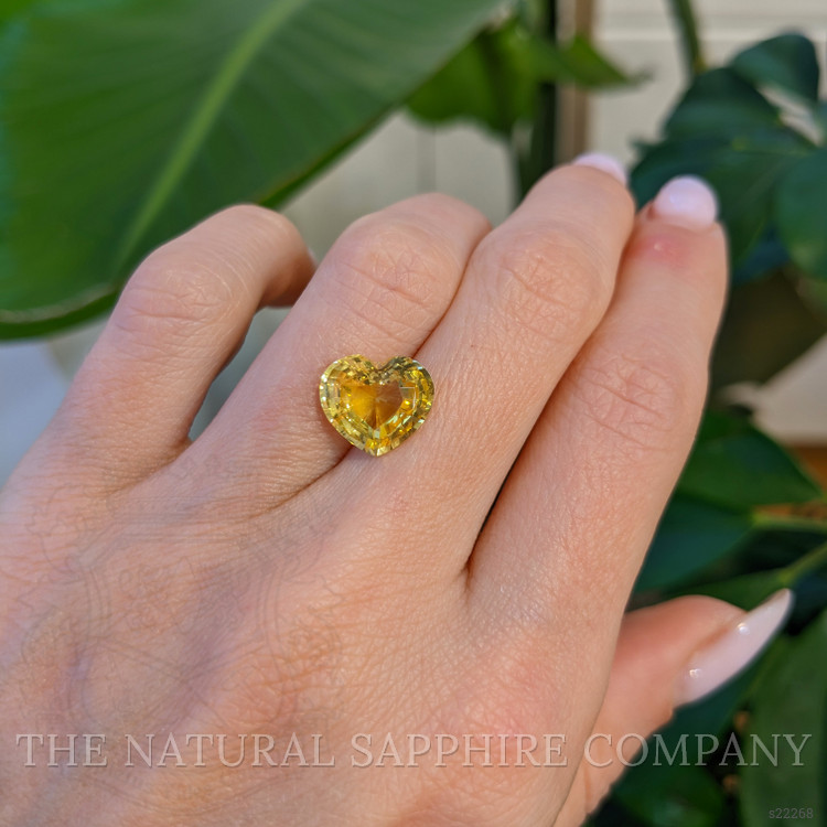 5.04 Ct. Yellow Sapphire from Ceylon (Sri Lanka)
