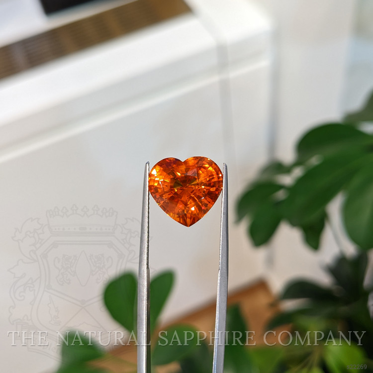 10.01 Ct. Orange Sapphire from Ceylon (Sri Lanka)