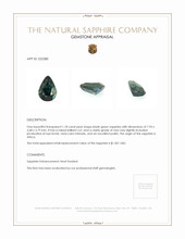 1.18 Ct. Sapphire from Africa Appraisal
