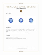 0.75 Ct. Blue Sapphire from Ceylon (Sri Lanka) Appraisal