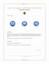 0.75 Ct. Blue Sapphire from Ceylon (Sri Lanka) Appraisal