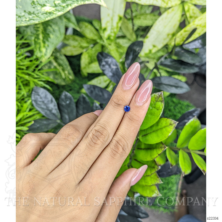 0.50 Ct. Blue Sapphire from Ceylon (Sri Lanka)