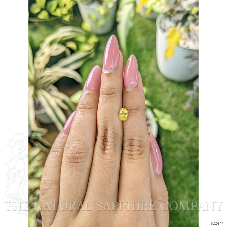 1.03 Ct. Yellow Sapphire from Ceylon (Sri Lanka)