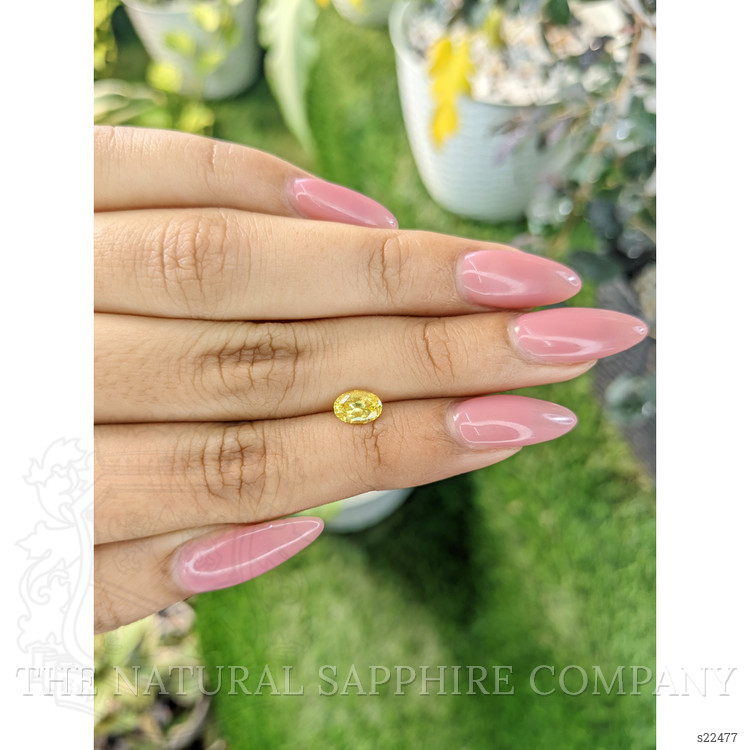 1.03 Ct. Yellow Sapphire from Ceylon (Sri Lanka)