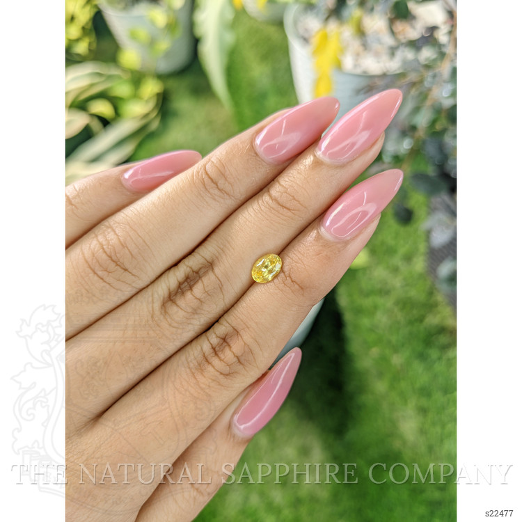 1.03 Ct. Yellow Sapphire from Ceylon (Sri Lanka)