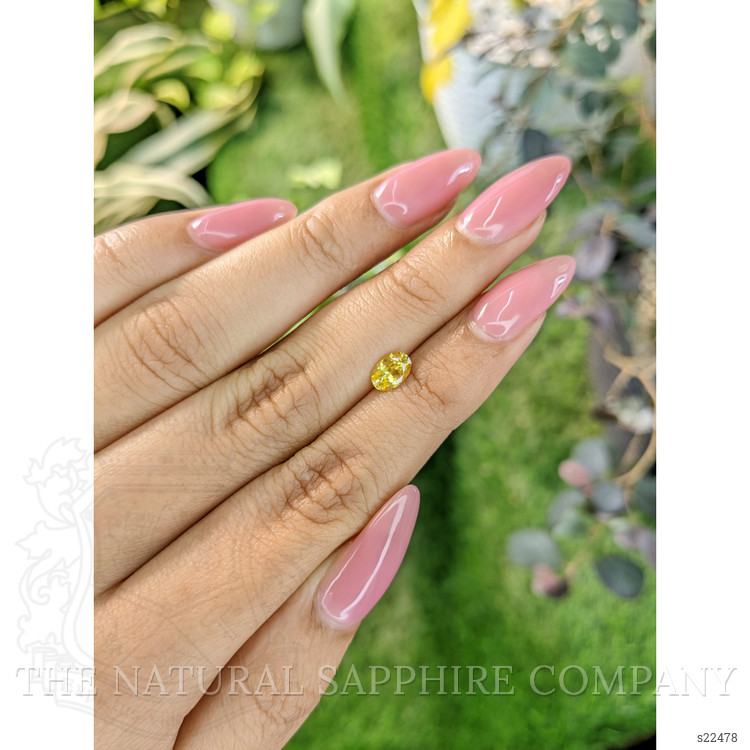 0.67 Ct. Yellow Sapphire from Ceylon (Sri Lanka)