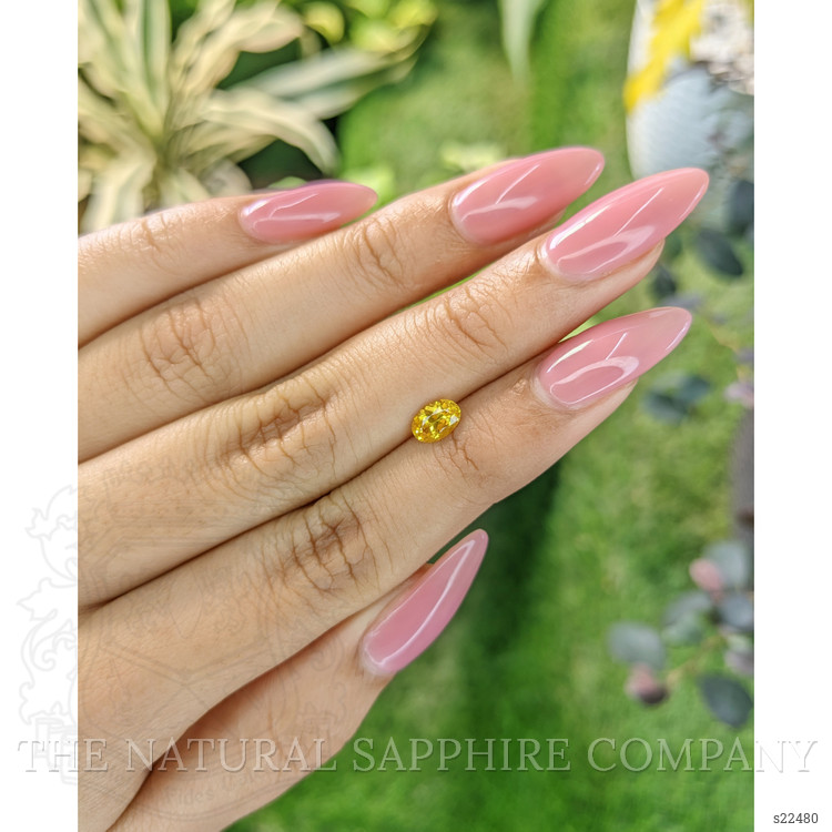 0.68 Ct. Yellow Sapphire from Ceylon (Sri Lanka)