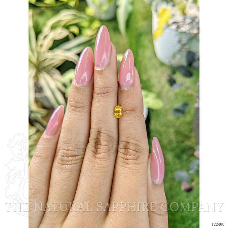 0.68 Ct. Yellow Sapphire from Ceylon (Sri Lanka)