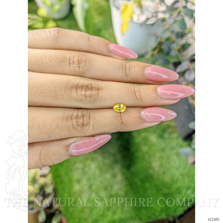0.79 Ct. Yellow Sapphire from Ceylon (Sri Lanka)