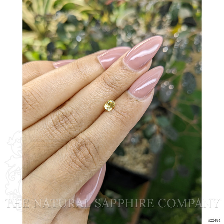 0.43 Ct. Yellow Sapphire from Ceylon (Sri Lanka)