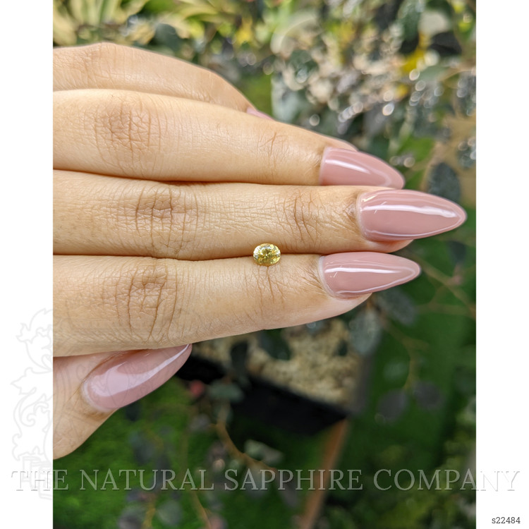 0.43 Ct. Yellow Sapphire from Ceylon (Sri Lanka)