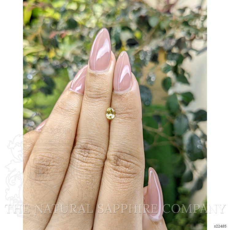 0.41 Ct. Yellow Sapphire from Ceylon (Sri Lanka)