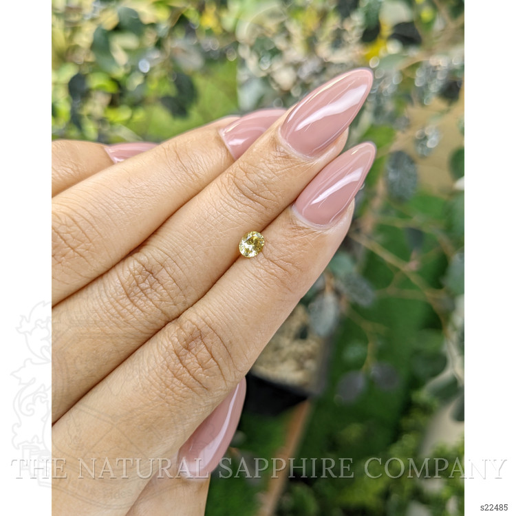 0.41 Ct. Yellow Sapphire from Ceylon (Sri Lanka)
