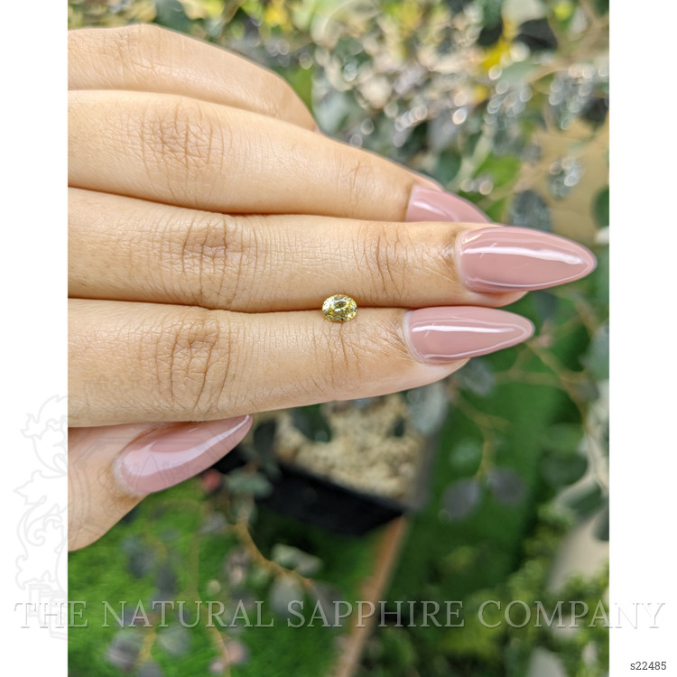 0.41 Ct. Yellow Sapphire from Ceylon (Sri Lanka)