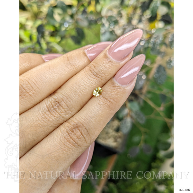 0.39 Ct. Yellow Sapphire from Ceylon (Sri Lanka)