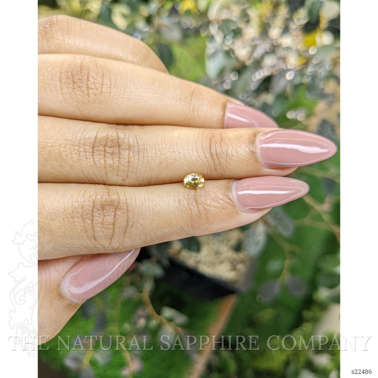 0.39 Ct. Yellow Sapphire from Ceylon (Sri Lanka)