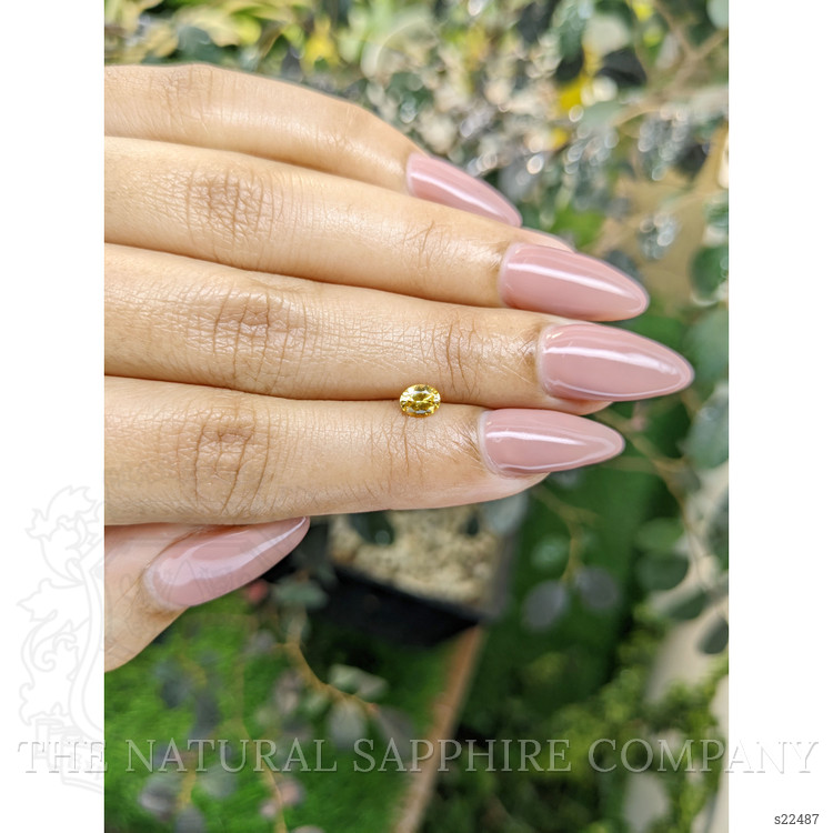 0.40 Ct. Yellow Sapphire from Ceylon (Sri Lanka)