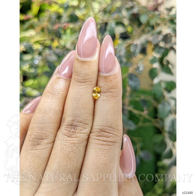 0.44 Ct. Yellowish Orange Sapphire from Ceylon (Sri Lanka)