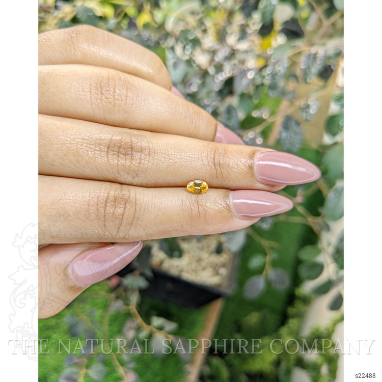 0.44 Ct. Yellowish Orange Sapphire from Ceylon (Sri Lanka)