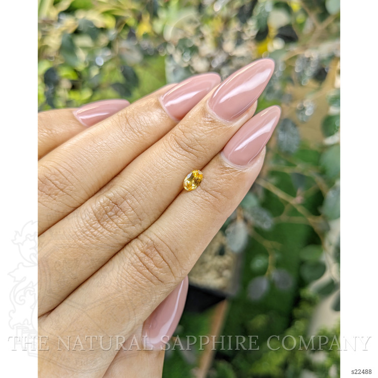 0.44 Ct. Yellowish Orange Sapphire from Ceylon (Sri Lanka)