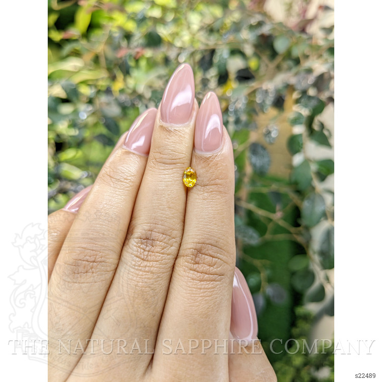 0.48 Ct. Yellow Sapphire from Ceylon (Sri Lanka)