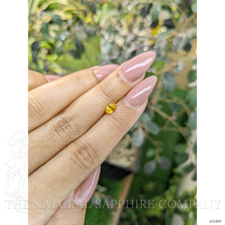 0.48 Ct. Yellow Sapphire from Ceylon (Sri Lanka)