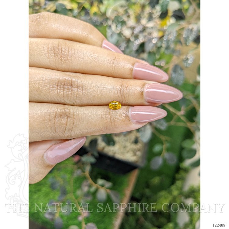 0.48 Ct. Yellow Sapphire from Ceylon (Sri Lanka)