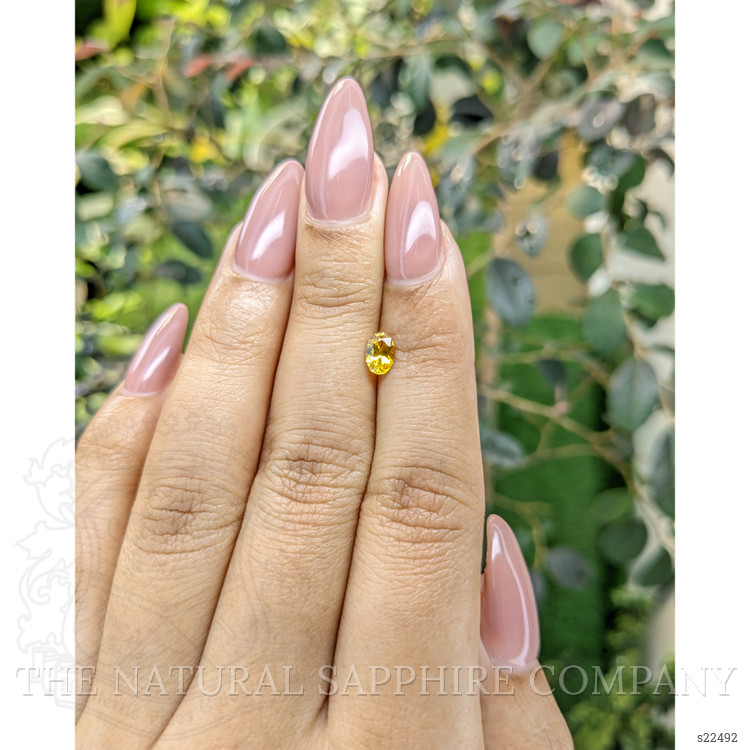 0.50 Ct. Orangish Yellow Sapphire from Ceylon (Sri Lanka)
