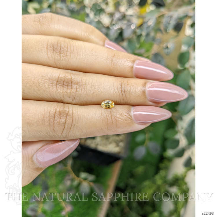0.49 Ct. Yellow Sapphire from Ceylon (Sri Lanka)
