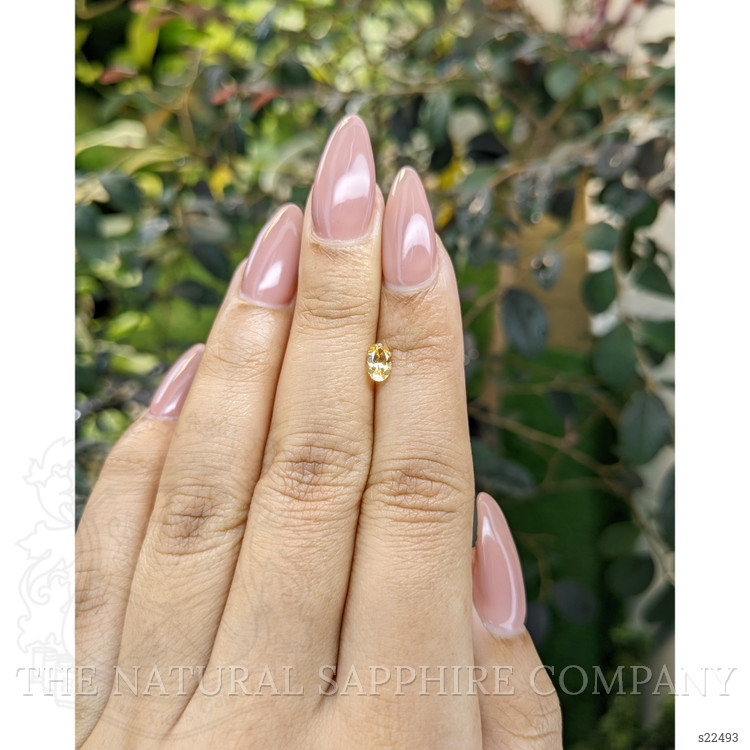 0.49 Ct. Yellow Sapphire from Ceylon (Sri Lanka)