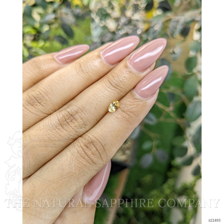 0.49 Ct. Yellow Sapphire from Ceylon (Sri Lanka)