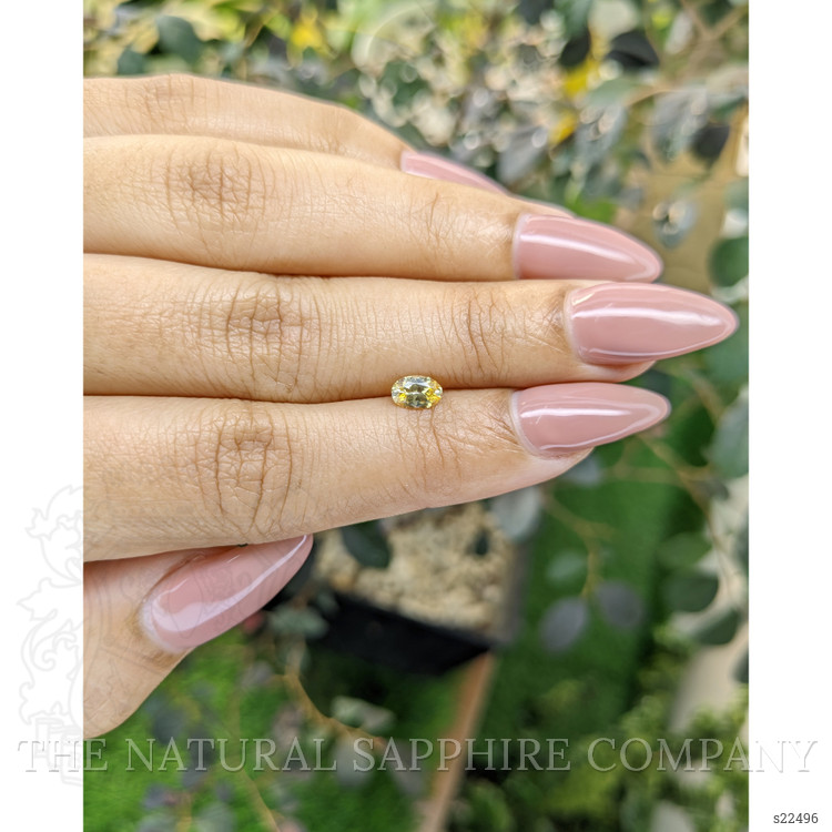 0.46 Ct. Yellow Sapphire from Ceylon (Sri Lanka)