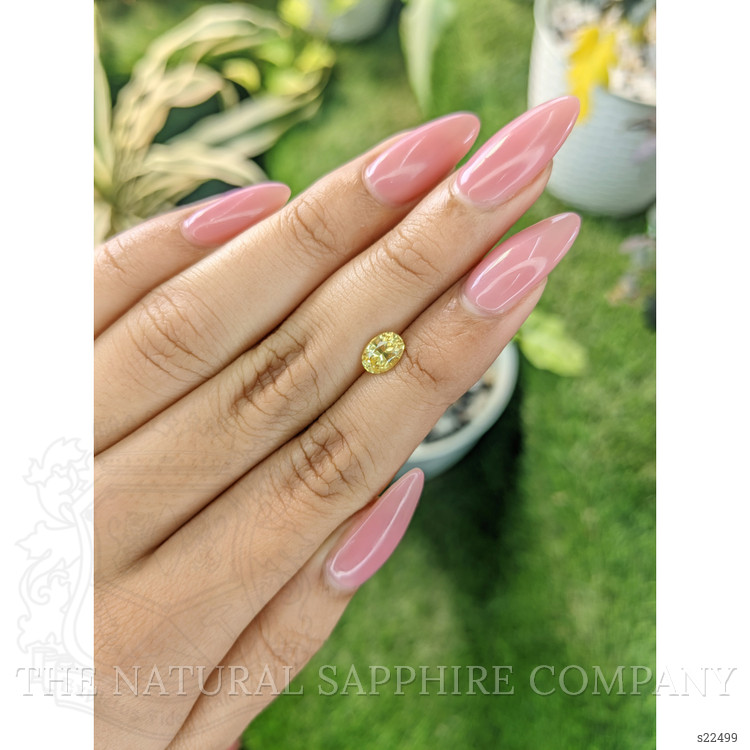 1.03 Ct. Yellow Sapphire from Ceylon (Sri Lanka)