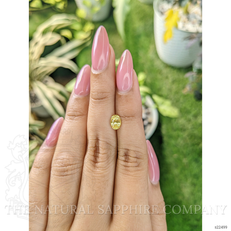 1.03 Ct. Yellow Sapphire from Ceylon (Sri Lanka)