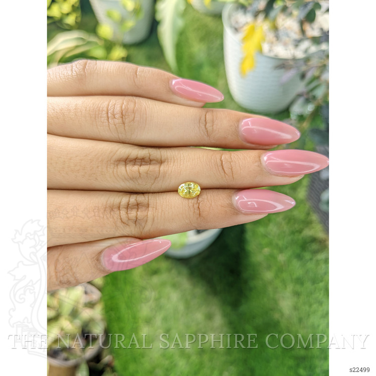 1.03 Ct. Yellow Sapphire from Ceylon (Sri Lanka)