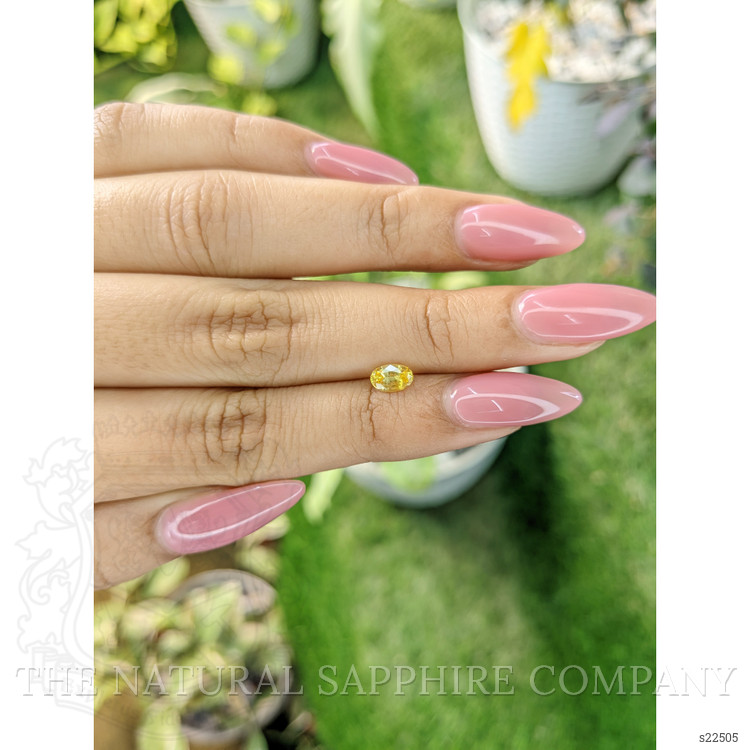 0.55 Ct. Yellow Sapphire from Ceylon (Sri Lanka)