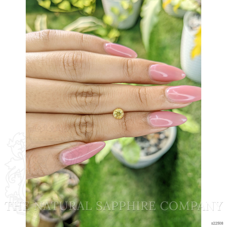 0.68 Ct. Yellow Sapphire from Ceylon (Sri Lanka)