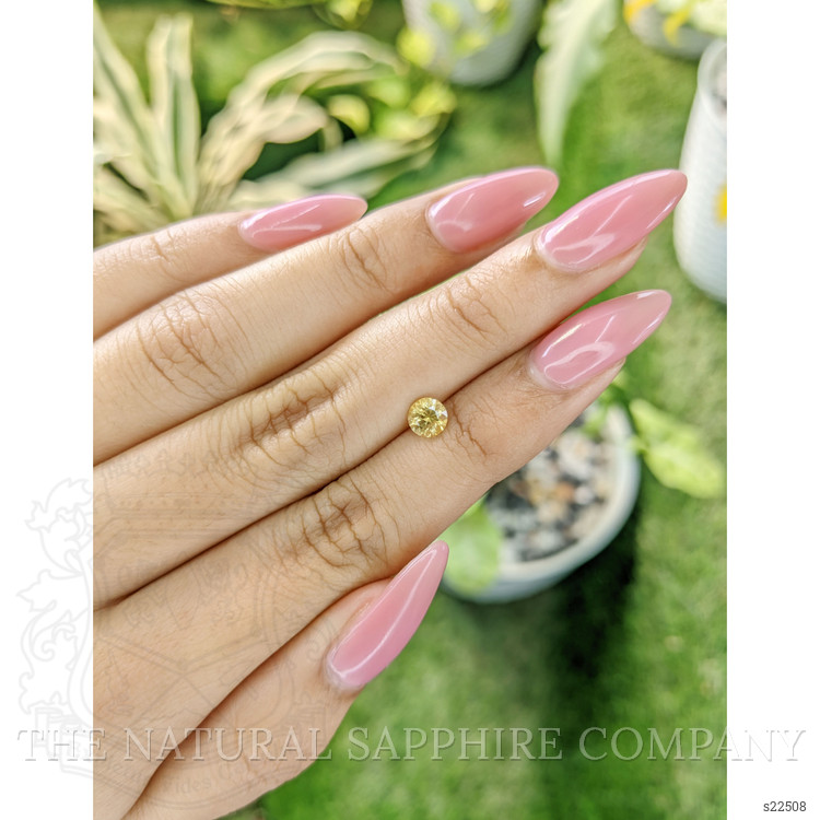 0.68 Ct. Yellow Sapphire from Ceylon (Sri Lanka)