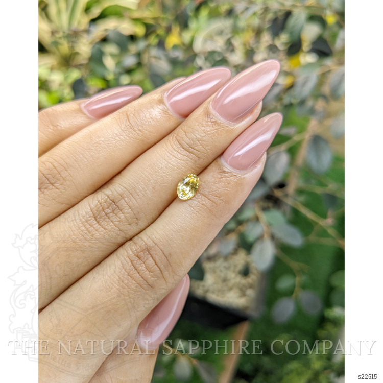 0.92 Ct. Yellow Sapphire from Ceylon (Sri Lanka)